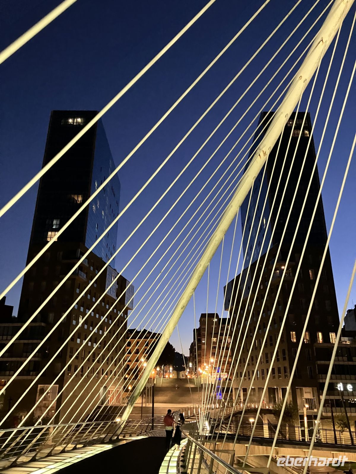 Zubizuri Brücke bei Nacht Bilbao