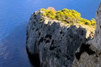 kontrastreicher Fels