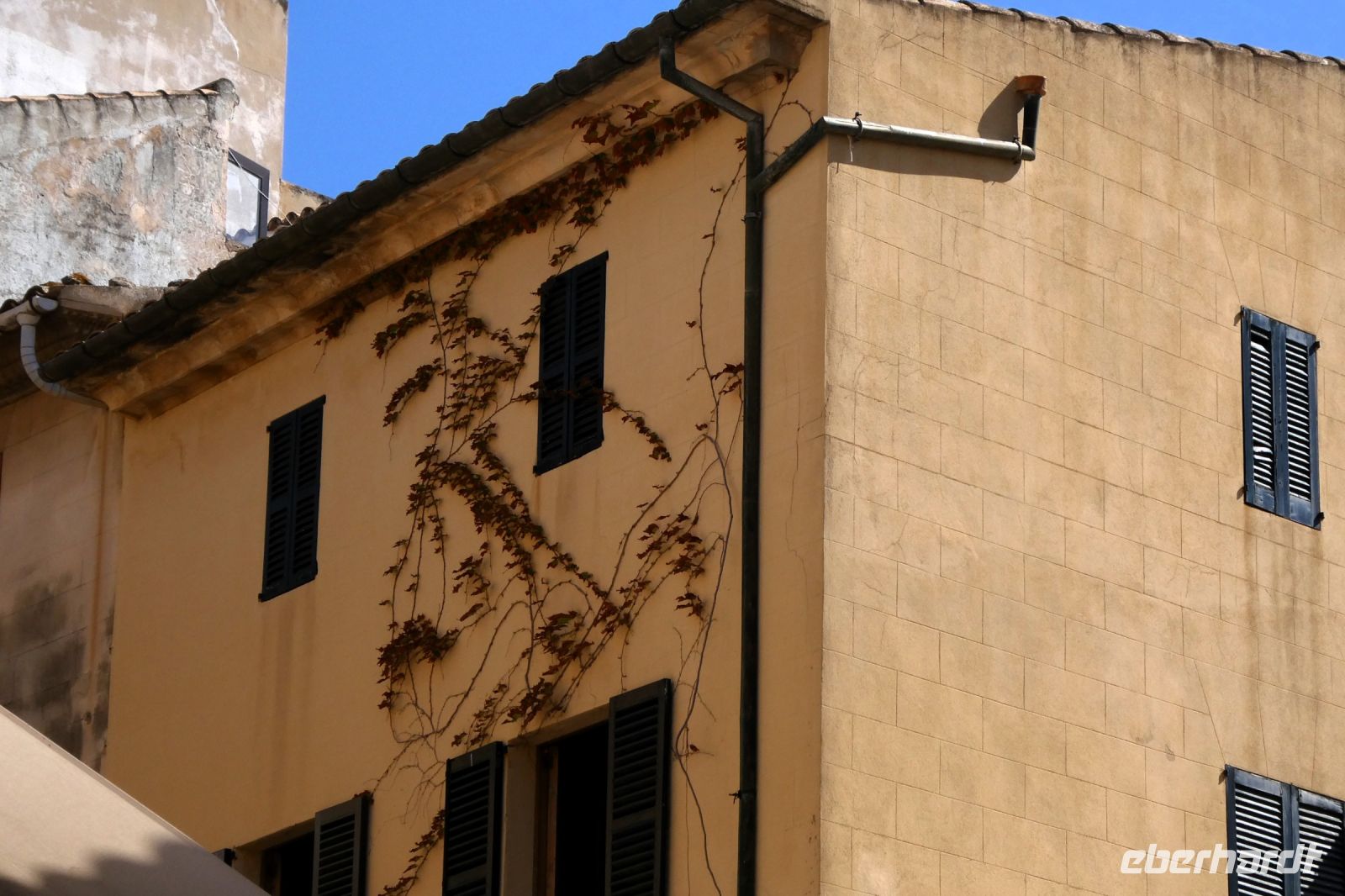 Stillleben in Alcúdia