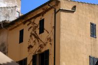 Stillleben in Alcúdia