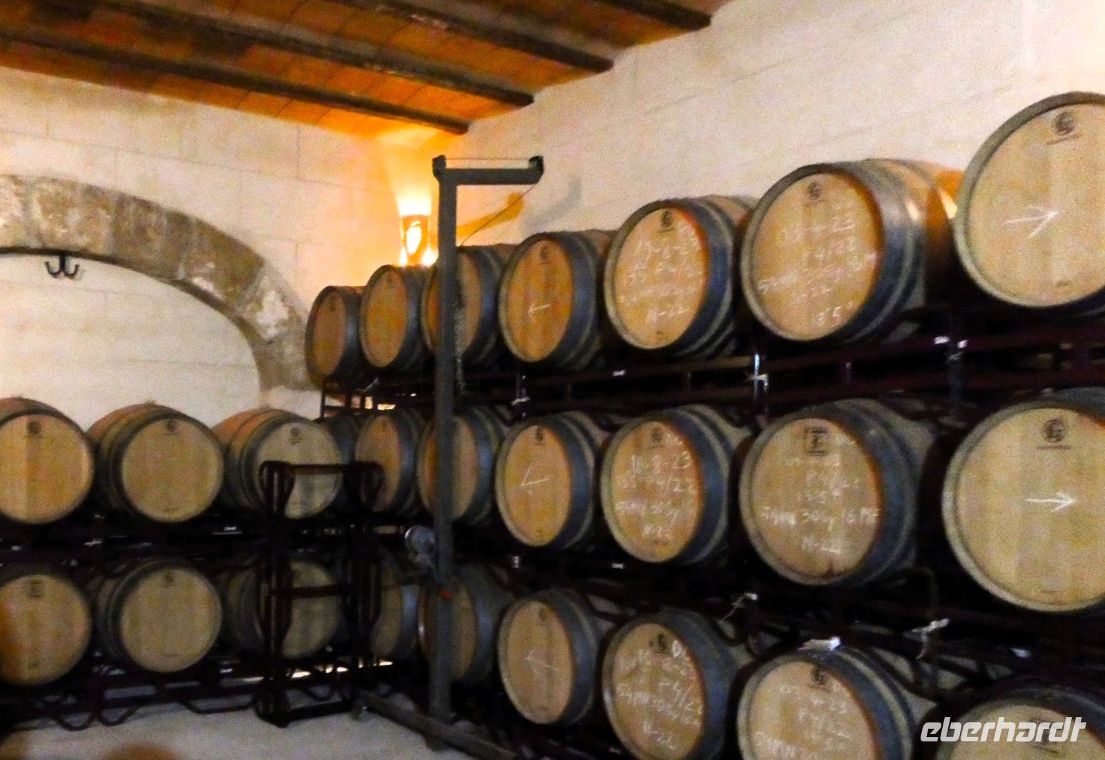 im Weinkeller von Vinya Taujana