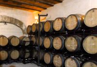 im Weinkeller von Vinya Taujana