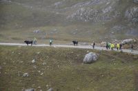 Durch die Tudancas: Watt seid ihr mutig!