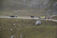 Áliva > Espinama mit Tudancas