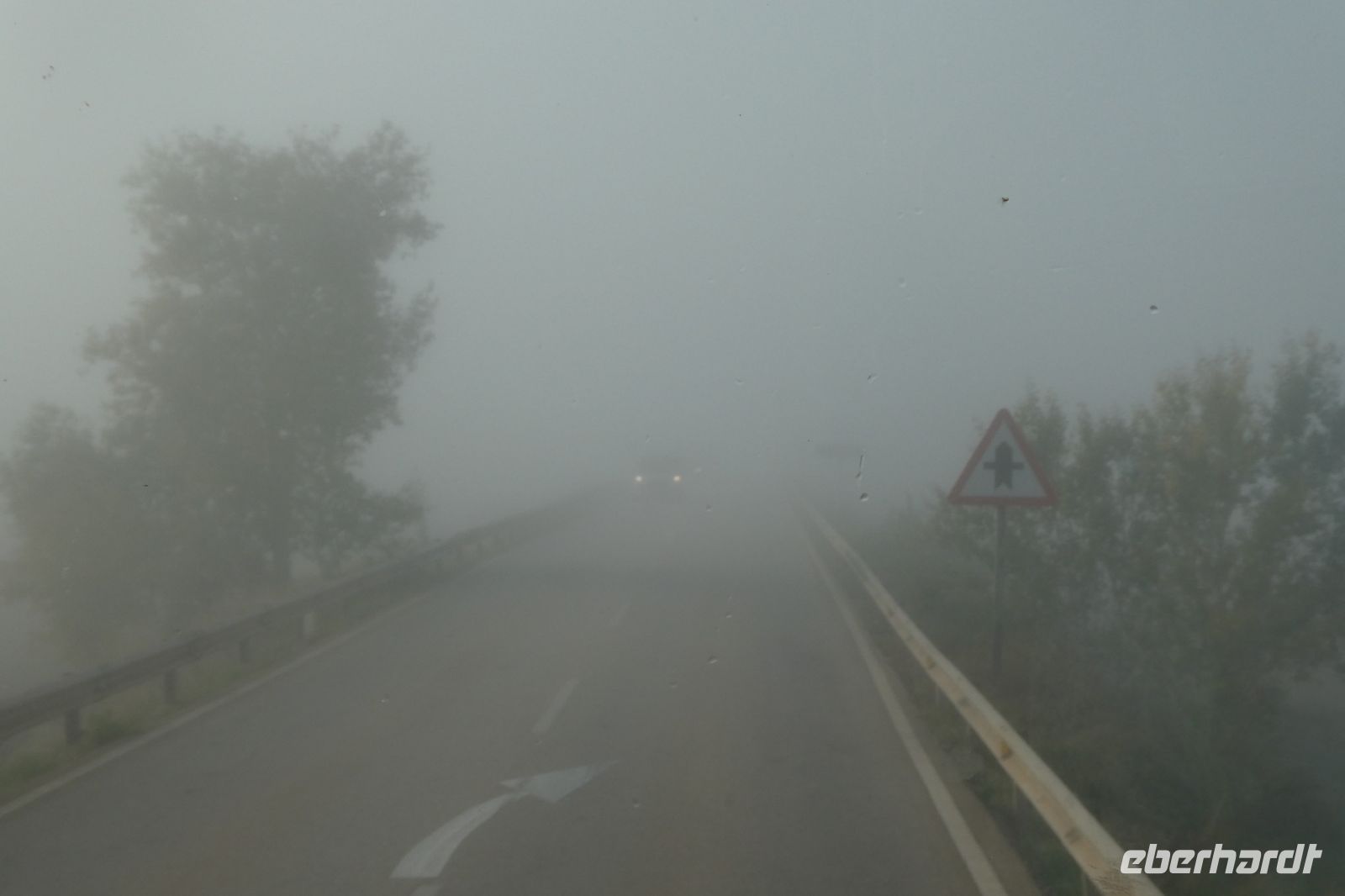 Fahrt in den Nebel