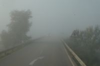 Fahrt in den Nebel