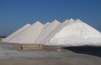 Bei den Salinen von Es Trenc