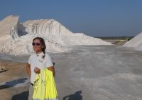 wir bekommen alle erklärt