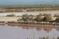 Blick in das Naturschutzgebiet