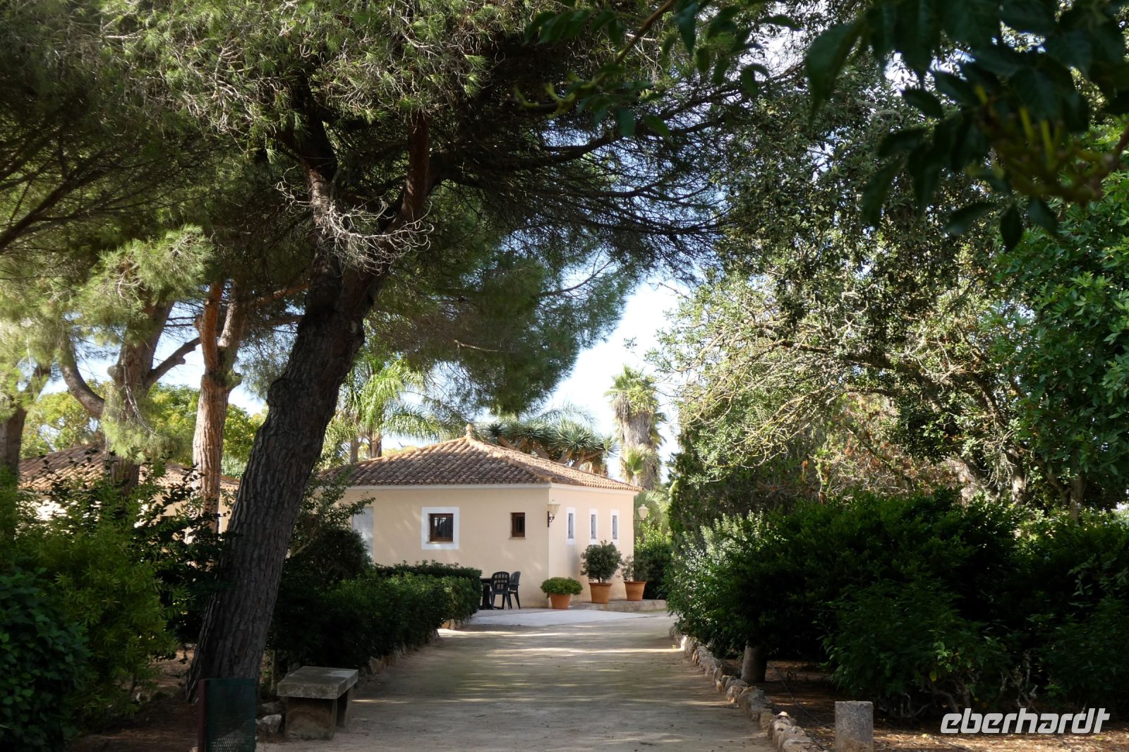 Willkommen im Botanicactus