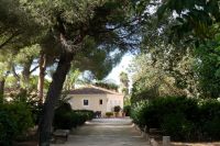 Willkommen im Botanicactus