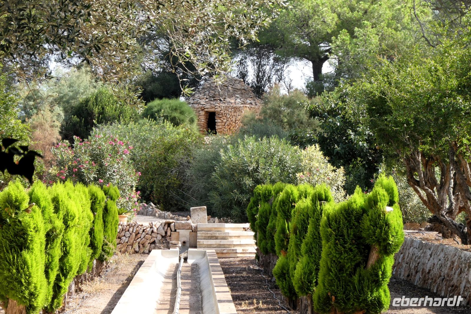 der Mittelmeergarten