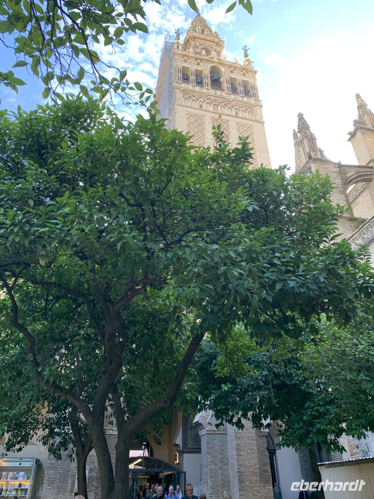 Der Glockenturm Giralda