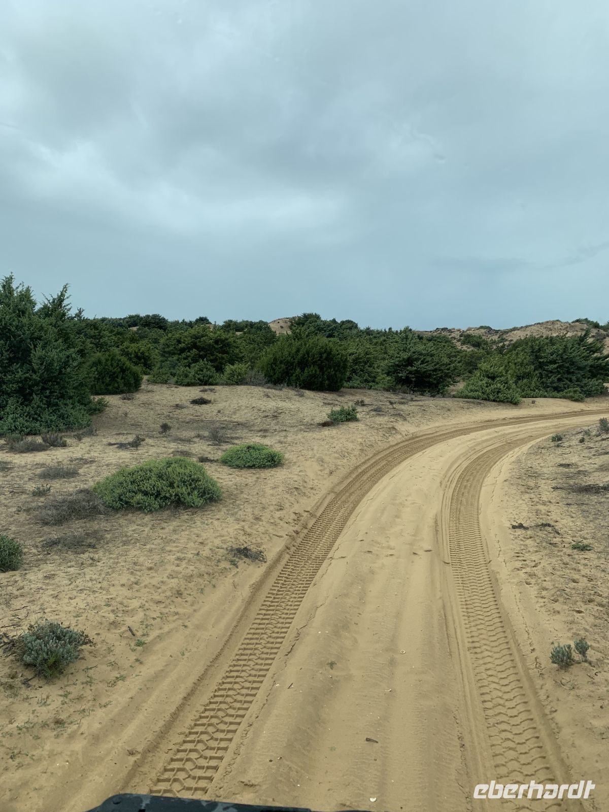 Im Donana -Nationalpark