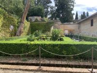 Hof der Sultaninzypresse