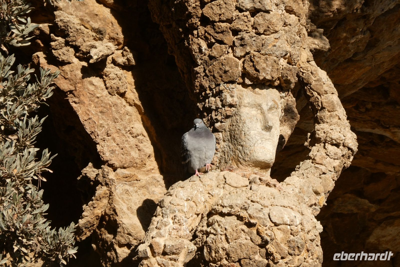 und es wurde eine Frau