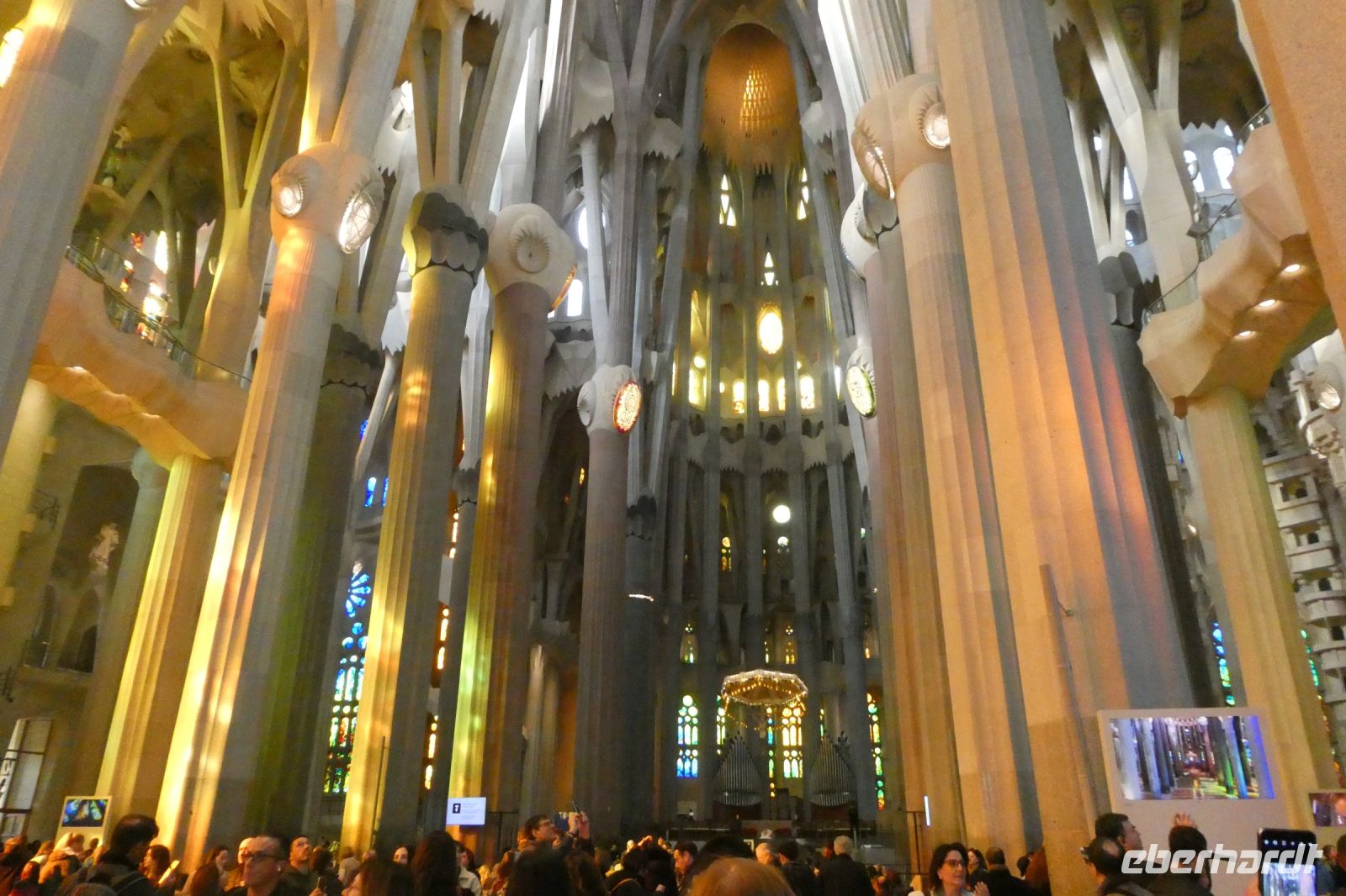 in einem Wald von Säulen (Bäumen)