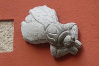 die Fliege von Girona