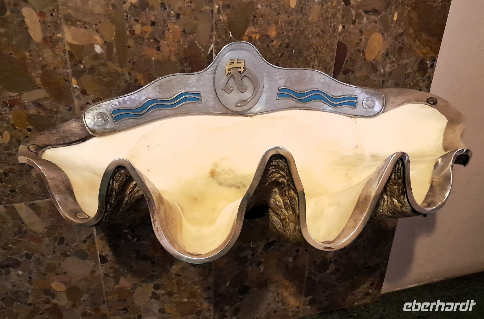 Heute gefährdete Riesenmuschelhälfte