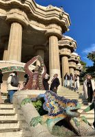 die Eidechse im Park Guell_IMG_4857.jpg