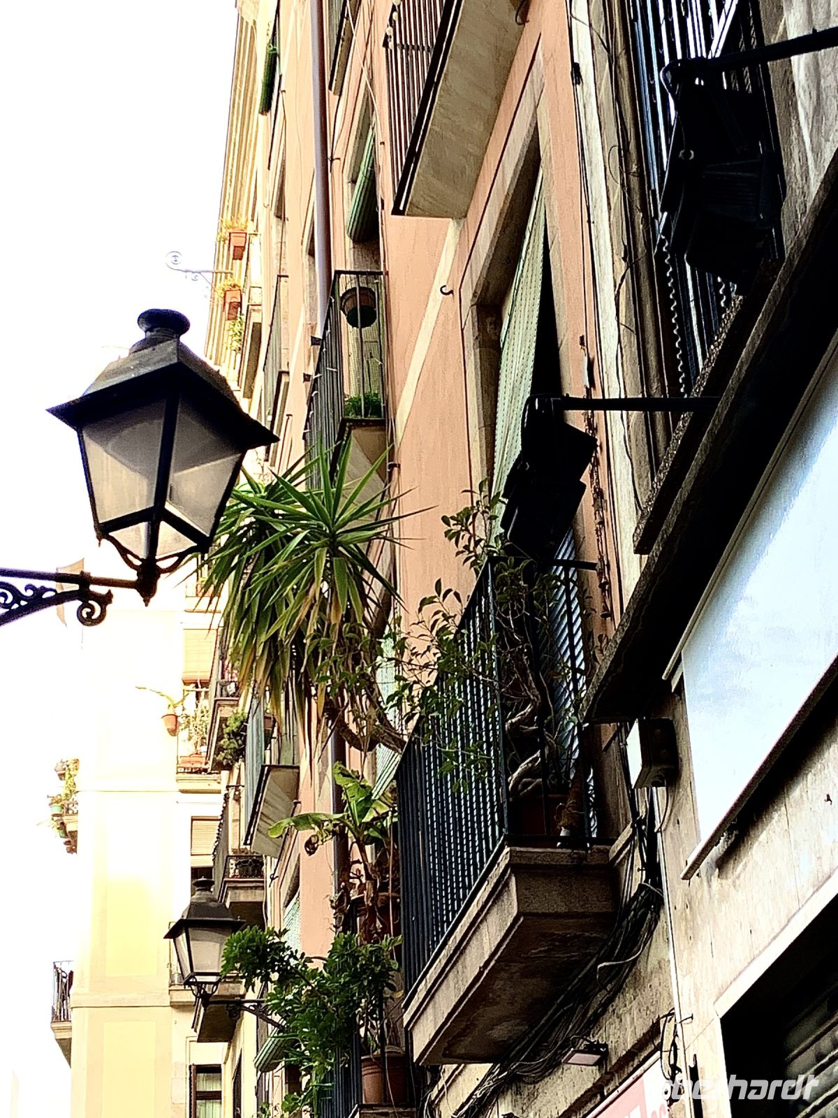 hübsche Winkel_ IMG 4972