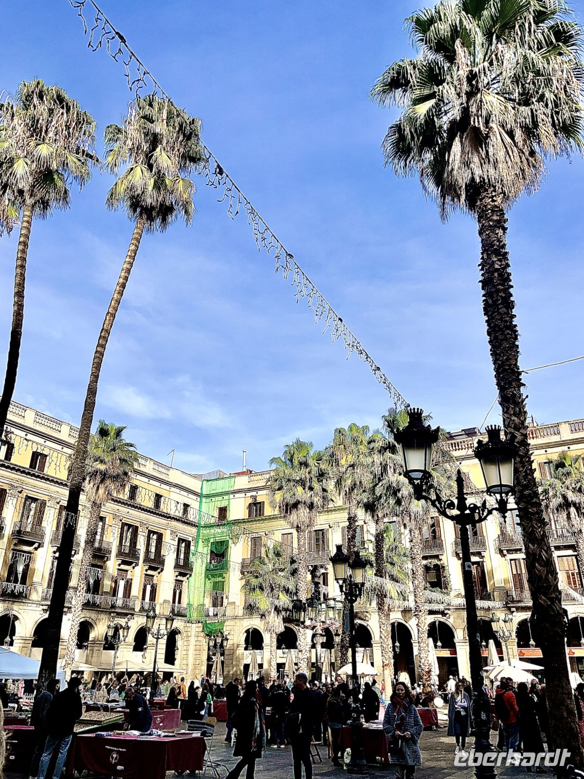 Placa real_ IMG 5056