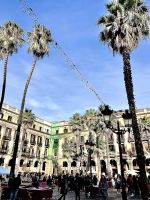 Placa real_ IMG 5056