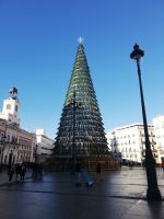 Weihnachtsbaum an der Puerta del Sol . am Tag grün, Madrid 