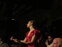 Die eindrucksvolle Flamenco Tänzerin, Corral de la Moreria