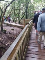 auf dem Weg zum Aussichtspunkt