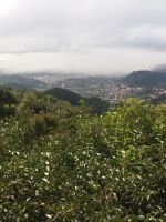 Blick vom Aussichtspunkt