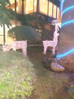 Weihnachtsdeko vor unserem Hotel