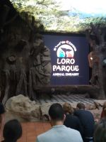 Raum der Papageivorführung