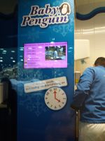 Fütterung der Baby-Pinguine