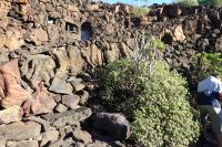 Cueva des los Verdes