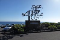 Logo Jameos del Aqua (Manrique)