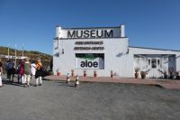 Aloe Vera Farm und Shop