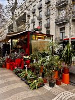 Im Getümmel der La Rambla