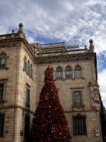 Weihnachtsbaum in der Piazza Sant Jaume in Barcelona