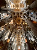 Blick an die Decke der Sagrada Família in Barcelona