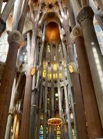 Säulenwald in der Sagrada Família in Barcelona