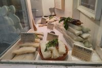 darf es Trockenfisch sein?