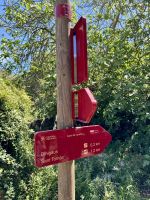 Unser nächstes Ziel: Playa Binigaus