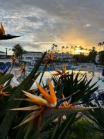 Sonnenaufgang beim Hotel Sagitario Princesa Playa