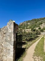 Obstgärten voller Mispeln