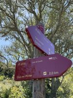 Auf dem Cami de Cavalls