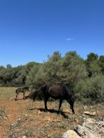 Entlang des Cami de Cavalls