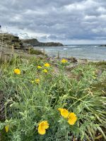 Raue, wunderschöne Ostküste Menorcas