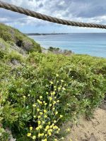 Wanderung im Naturpark S’Albufera