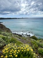 Der Leuchtturm Far de Favàritx im Hintergrund - Start unserer Wanderung